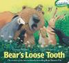 Book cover for "Bear's loose tooth".