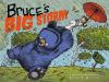 Book cover for "Bruce's big storm".