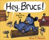 Book cover for "Hey, Bruce!".